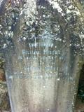 image of grave number 306068